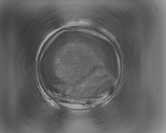 X0000052571200200507221454