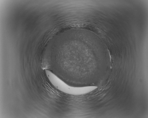 X0000052571202200507221453