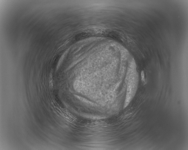 X0000052571203200507221453