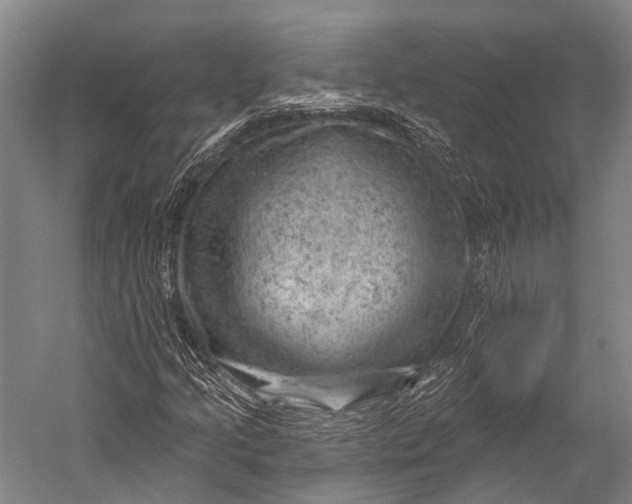 X0000052571205200507221453