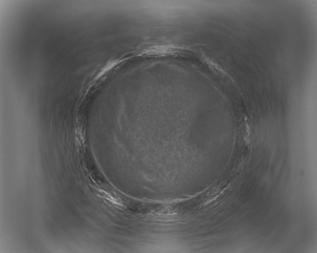 X0000052571206200507221453