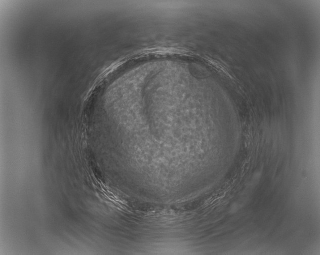 X0000052571207200507221453