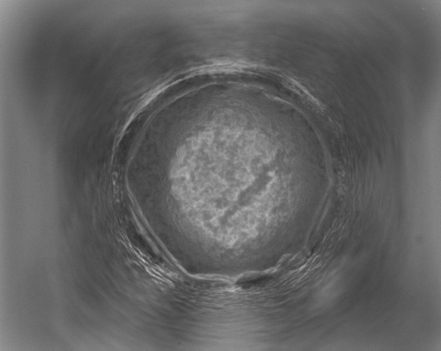 X0000052571208200507221453