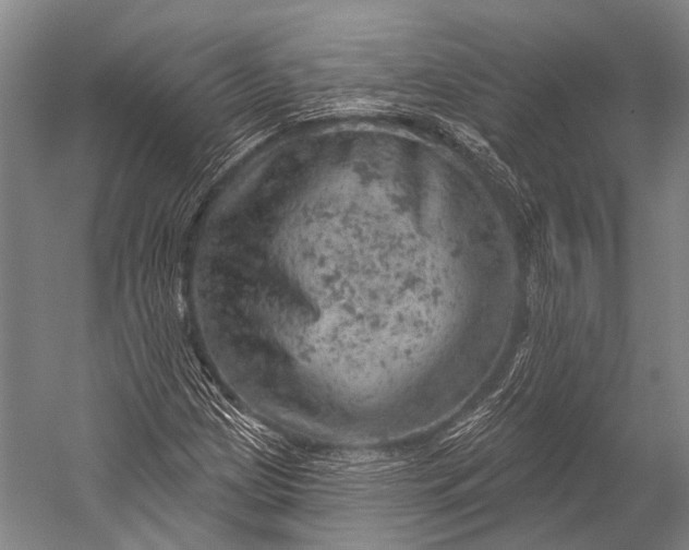 X0000052571209200507221453