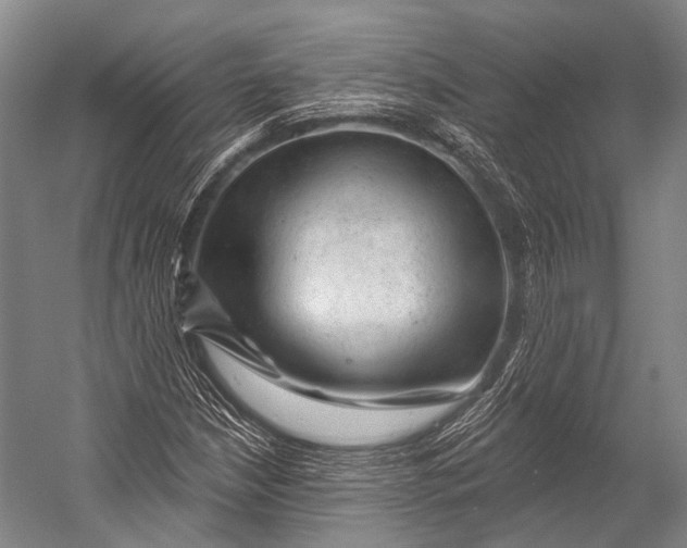 X0000052571210200507221453