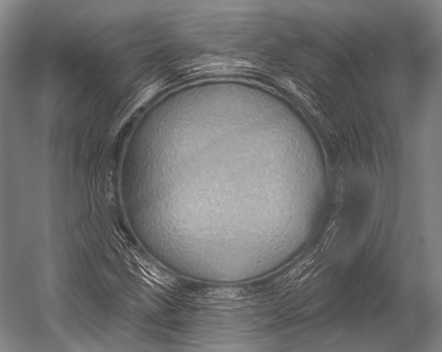 X0000052571211200507221453