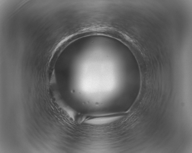 X0000052571214200507221453