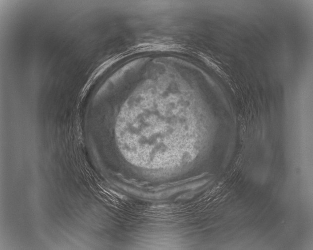 X0000052571215200507221453