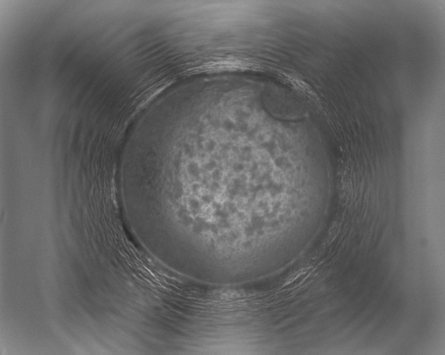 X0000052571217200507221453