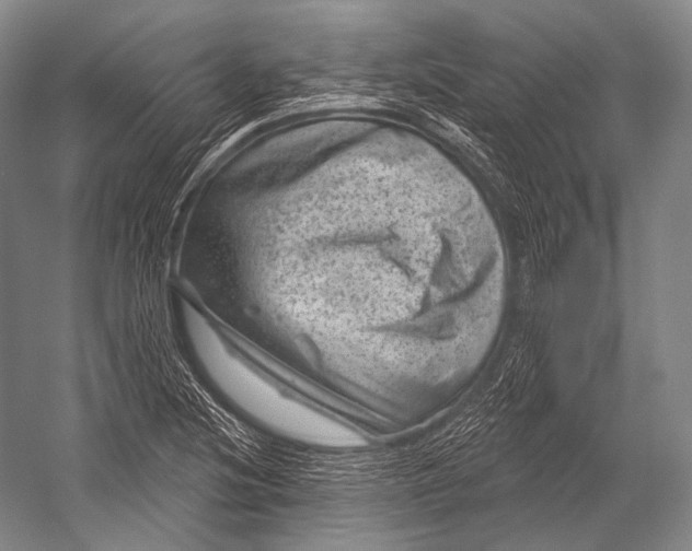 X0000052571220200507221453