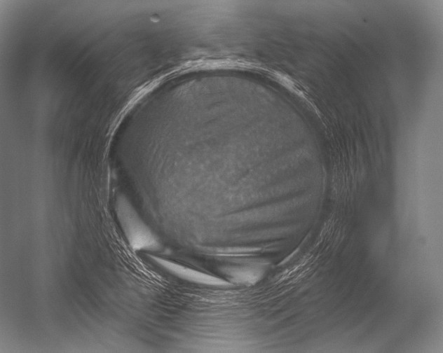 X0000052571221200507221453