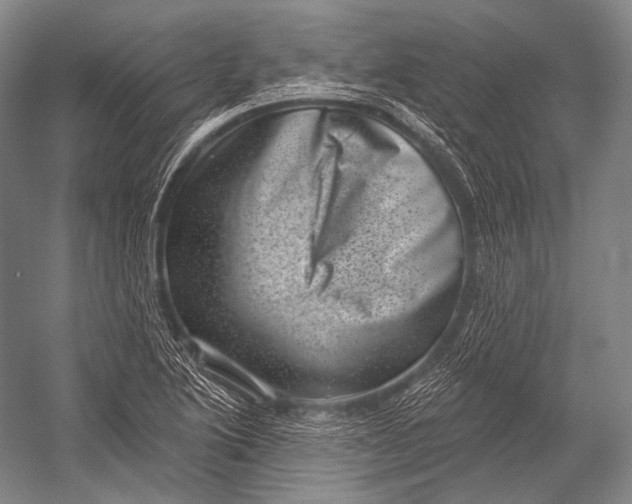 X0000052571222200507221453