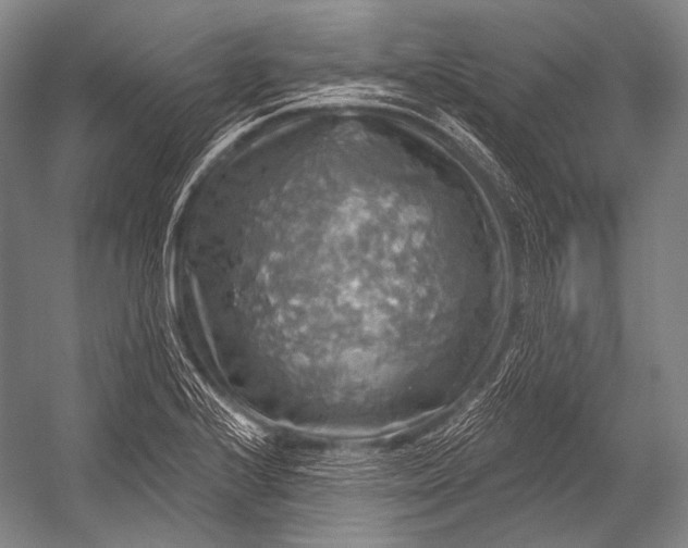 X0000052571224200507221453