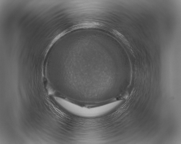 X0000052571226200507221453