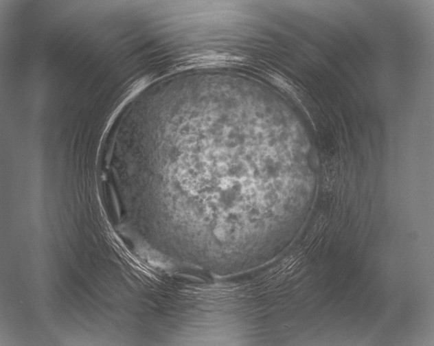 X0000052571227200507221453