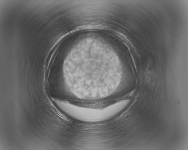 X0000052571228200507221453