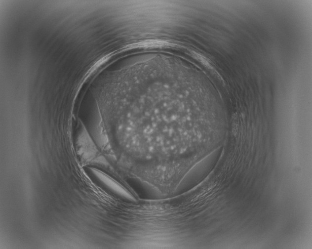 X0000052571229200507221453