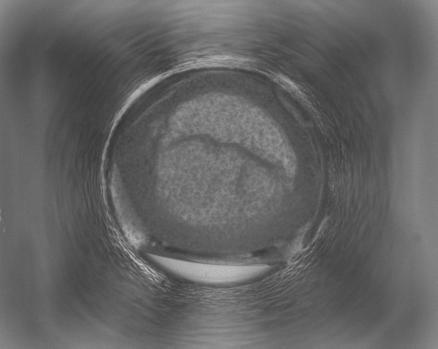 X0000052571230200507221453