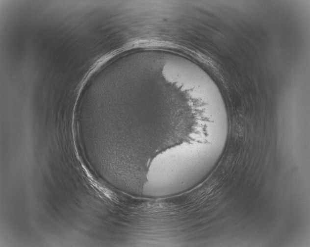 X0000052571231200507221453