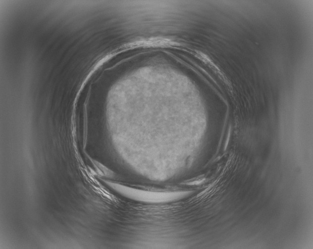 X0000052571232200507221453