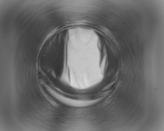 X0000052571234200507221453