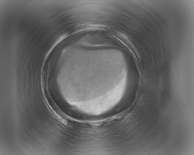 X0000052571235200507221453