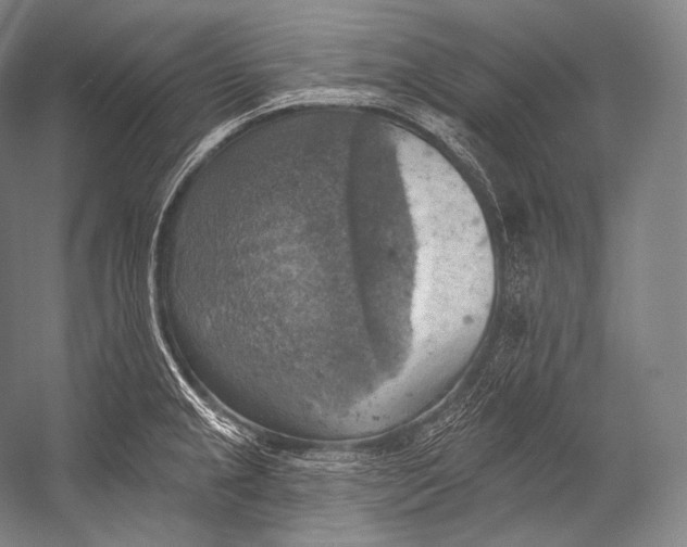 X0000052571237200507221453