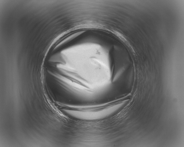 X0000052571238200507221453