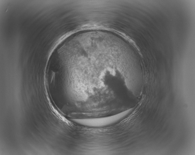 X0000052571239200507221453