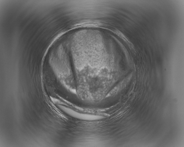 X0000052571240200507221453