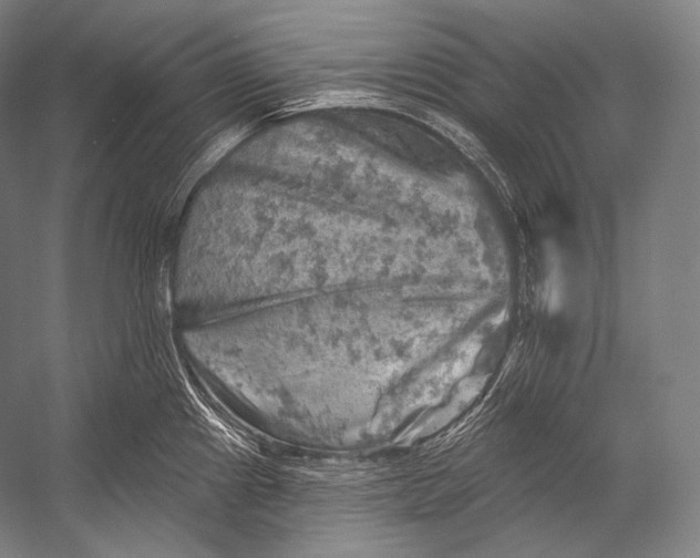 X0000052571241200507221453