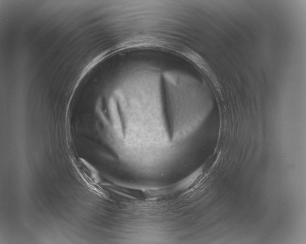 X0000052571242200507221453