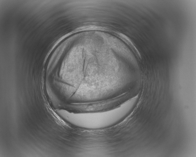 X0000052571244200507221454