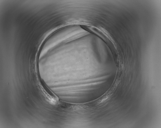 X0000052571246200507221454