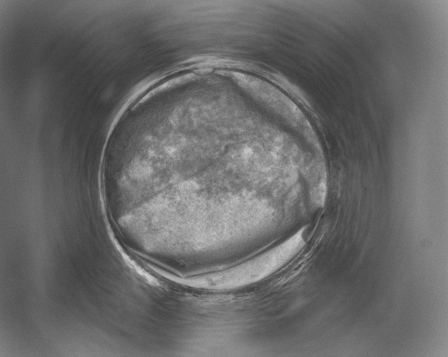 X0000052571247200507221454