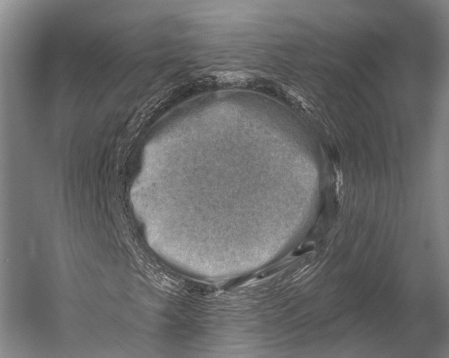 X0000052571249200507221453