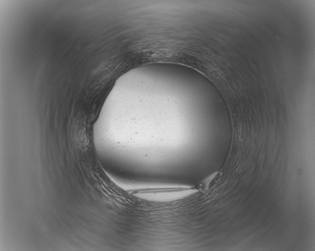 X0000052571250200507221453