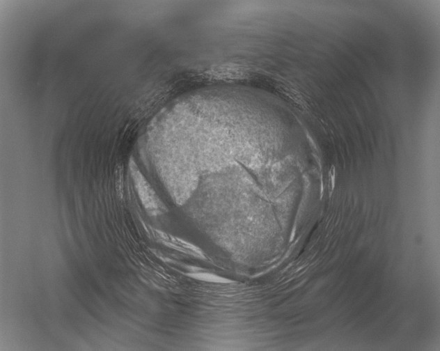 X0000052571251200507221453