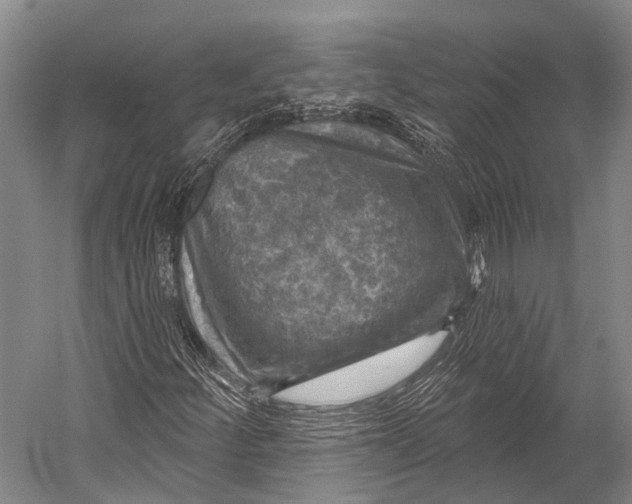 X0000052571252200507221453