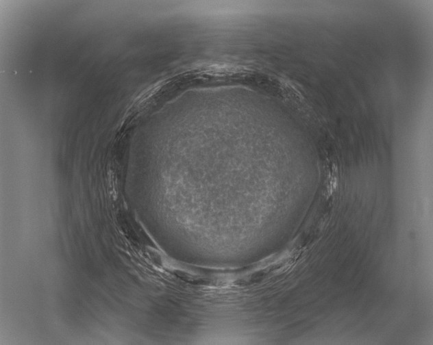 X0000052571253200507221453