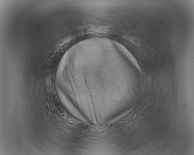 X0000052571254200507221453