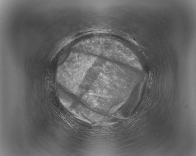 X0000052571255200507221453