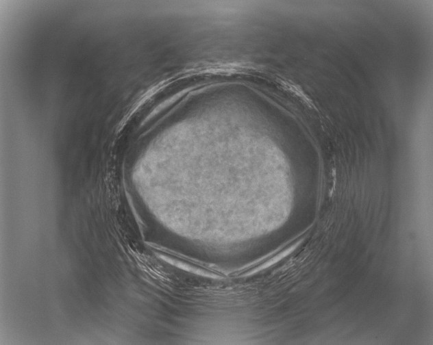 X0000052571256200507221453