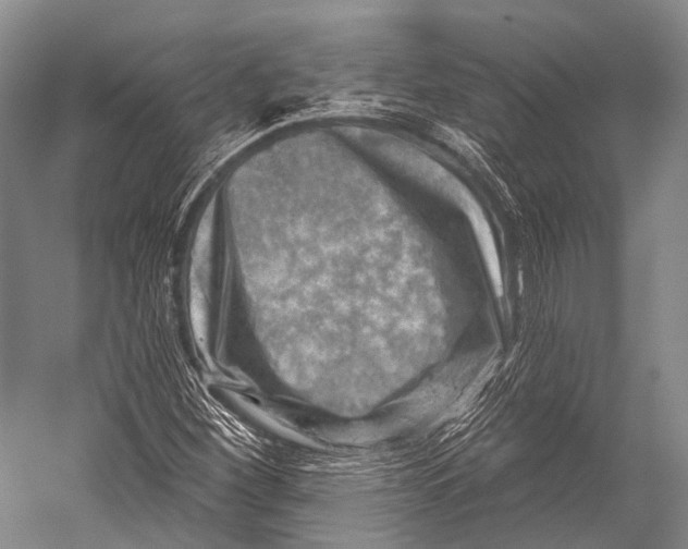 X0000052571260200507221453