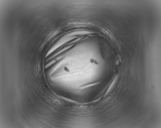 X0000052571261200507221453