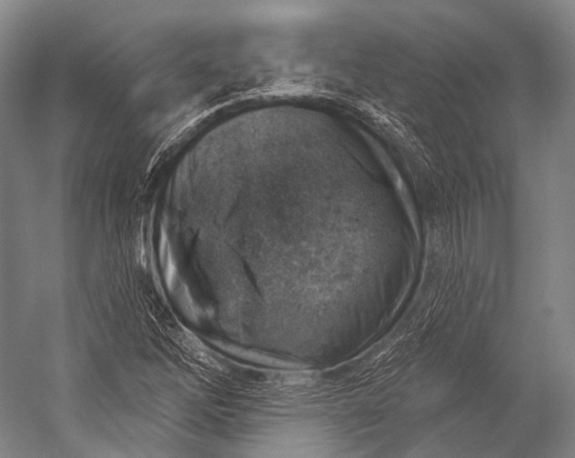 X0000052571262200507221453