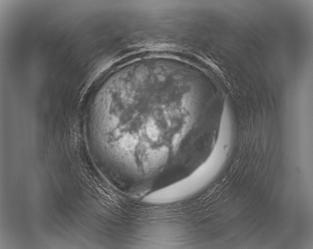 X0000052571263200507221453