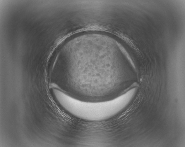 X0000052571264200507221453