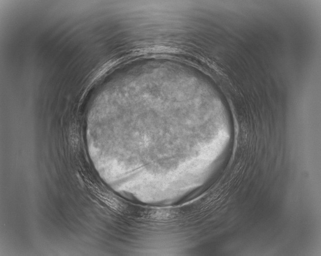 X0000052571266200507221452