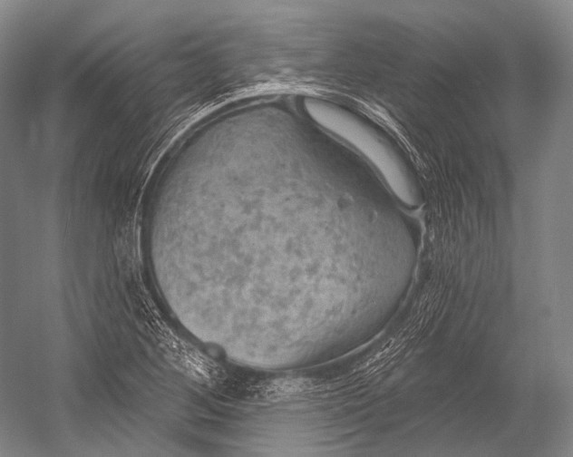 X0000052571268200507221452